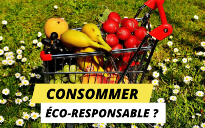 Consommer écoresponsable, pourquoi et comment ? Dans les coulisses de TEDxBrussels avec 5 experts en alimentation
