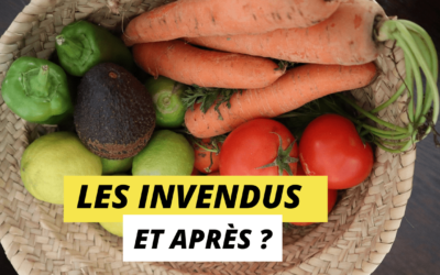 Transformer les invendus alimentaires en produits sec, c’est la mission des Glaneuses