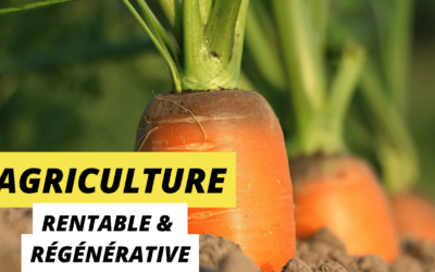 Une agriculture rentable et régénérative est-elle possible ? Dans les coulisses de TEDxBrussels avec Chuck de Liedekerke, CEO chez Soil Capital